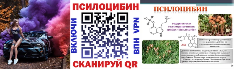 Купить  Протвино  Псилоцибиновые грибы MAGIC MUSHROOMS 